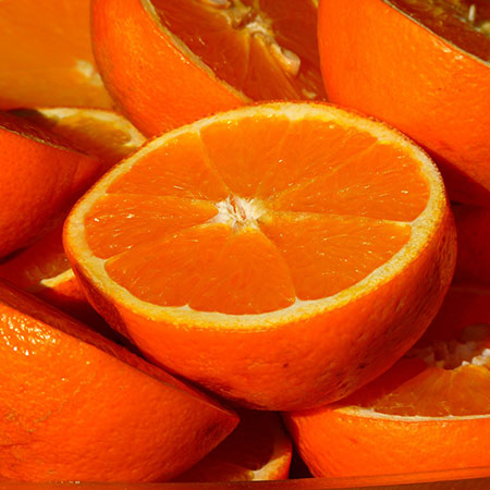 virus gripe naranjas entrada virus gripe naranjas entrada
